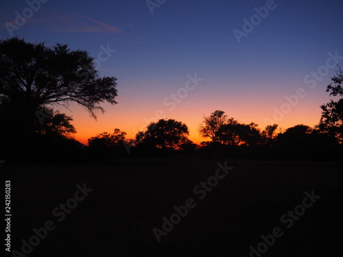 sunset in etosha Namibia