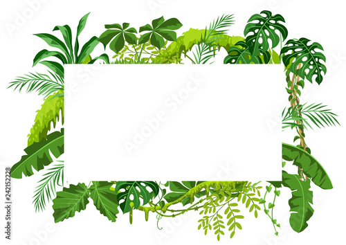 Background with jungle plants.