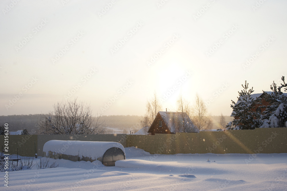 Garden in the winter. Snowfall and sun.