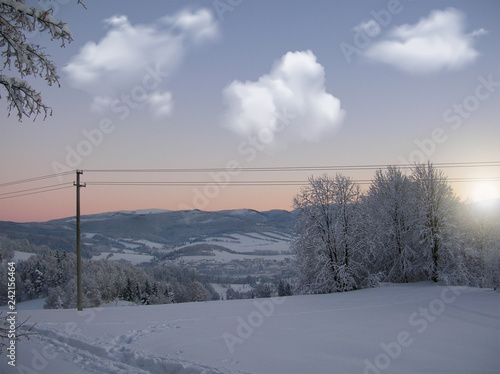 Trees covered with hoarfrost and snow in mountains