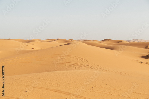 sand dune in desert