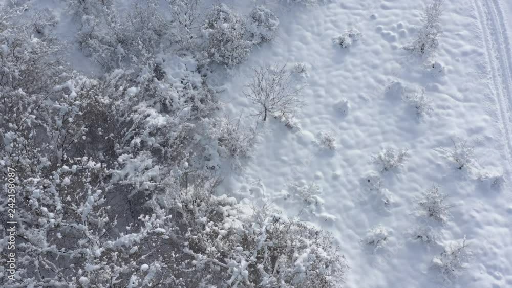 White snow over the hill and vegetation 4K aerial video White snow over the hill and vegetation 4K aerial video