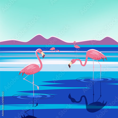 Vector illustration of pink flamingos in the lake at sunset, isolated
