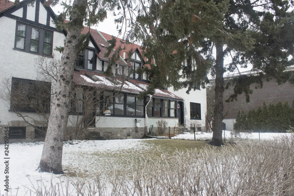 Obraz premium beautiful house