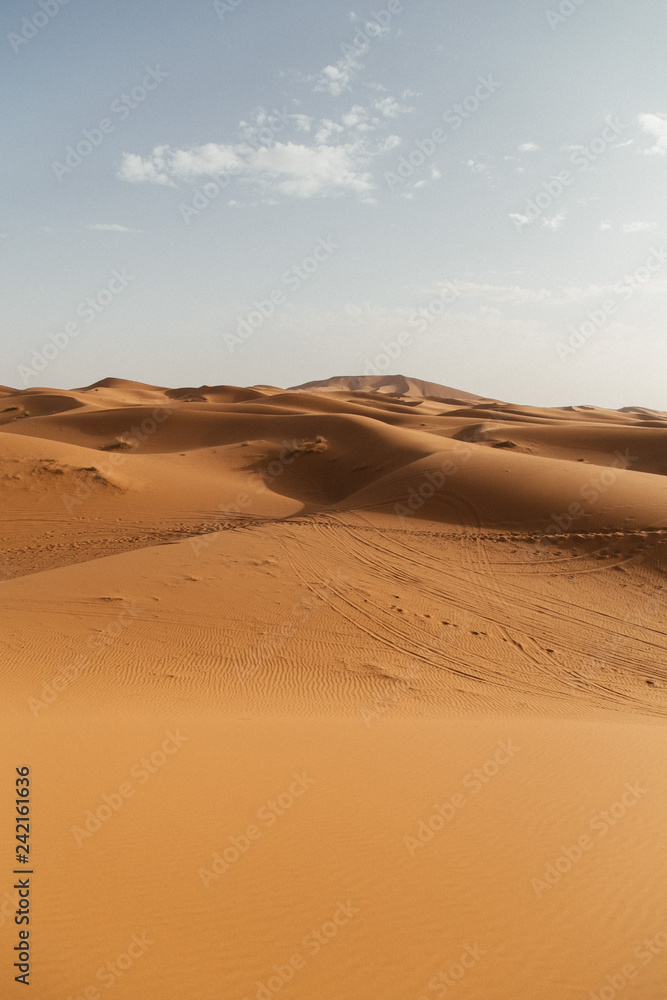 sand dune in desert