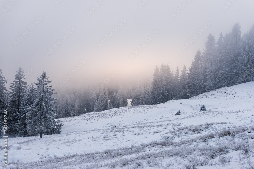 snowy winter landscape in the Gurnigel Area, Berner Oberland