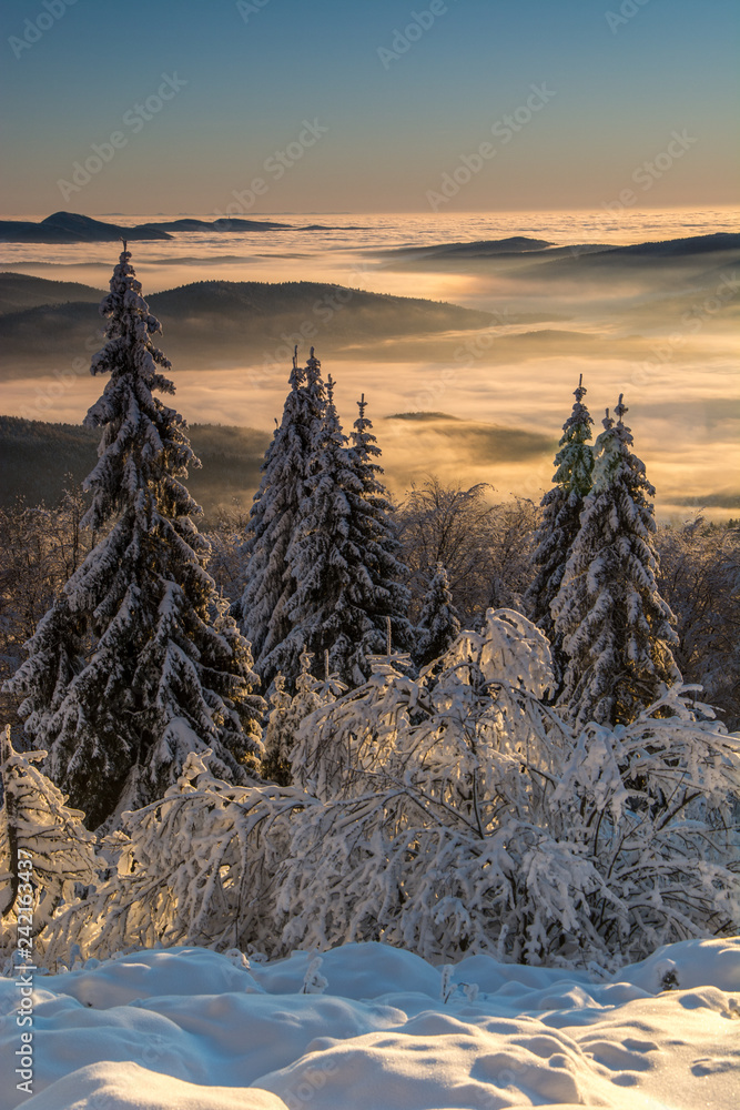 Widok z Jaworzyny Krynickiej ,Beskid Sądecki po wschodzie słońca .