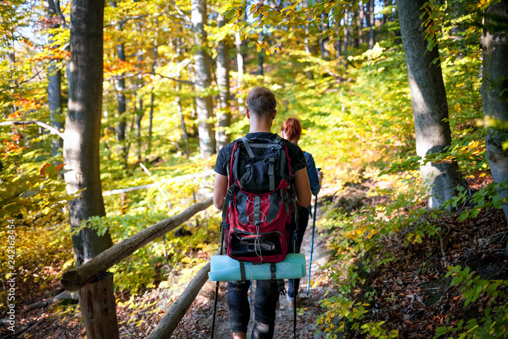 Trekking in the spring forest Trekking in the spring forest