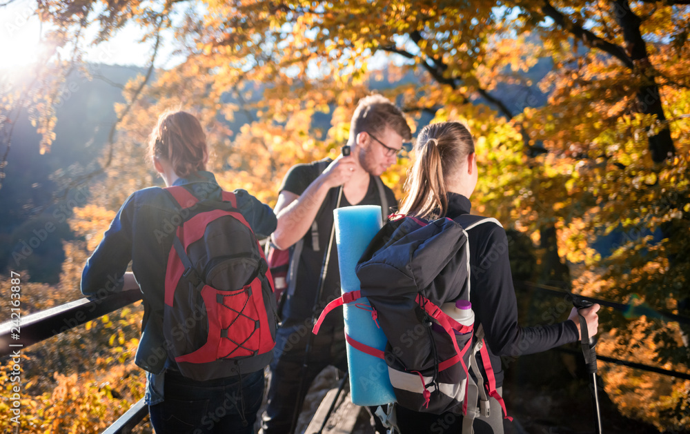 Trekking in forest, group of friends with backpacks Trekking in forest, group of friends with backpacks