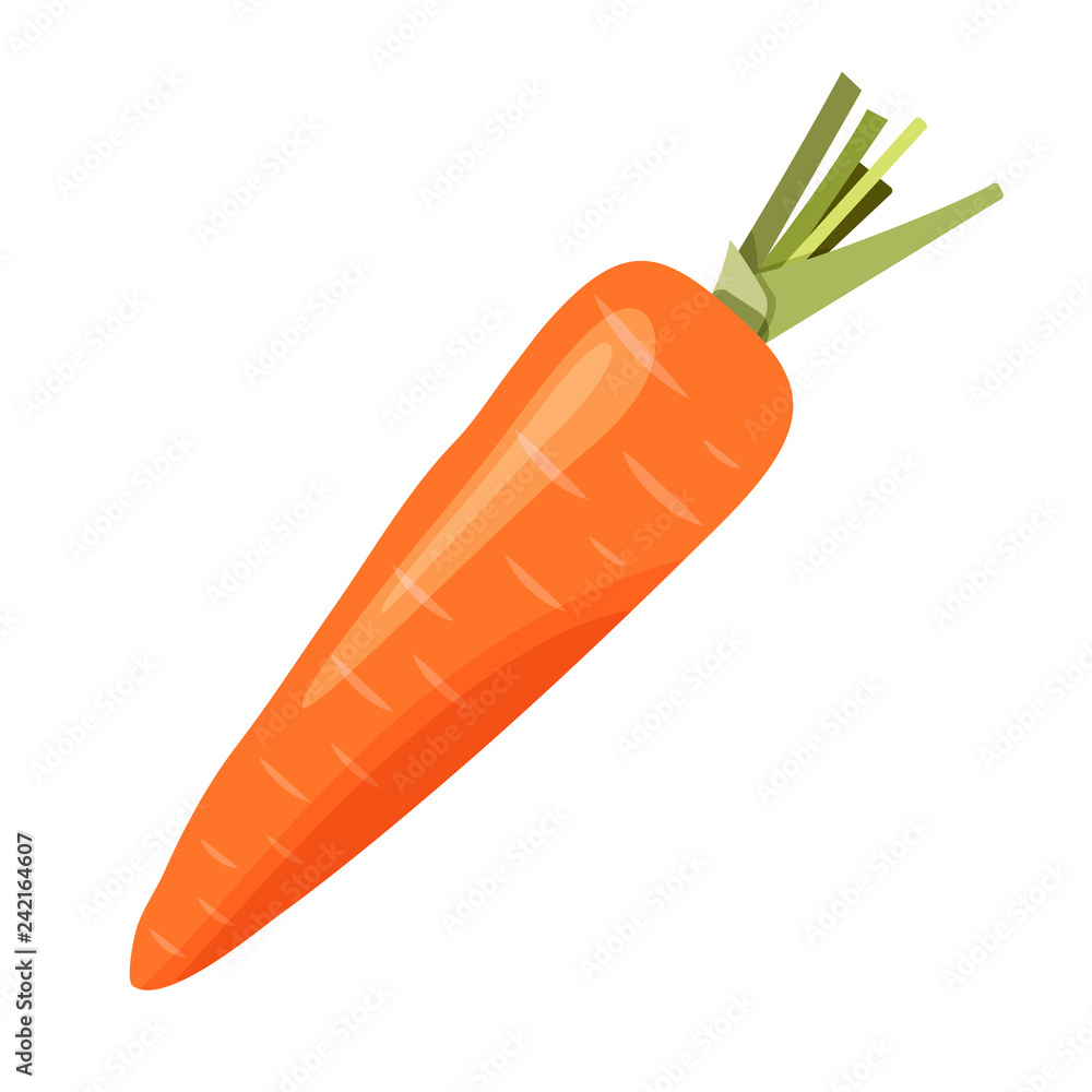 carrot isolated on white background carrot isolated on white background