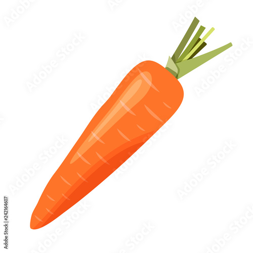 carrot isolated on white background