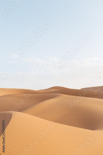 sand dunes in the desert