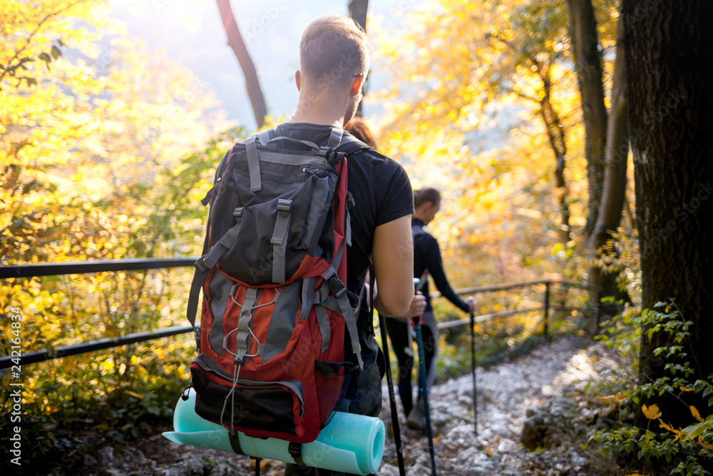 Travelers while trekking with backpacks on forest trail Travelers while trekking with backpacks on forest trail