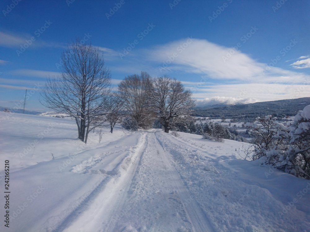 winter winter