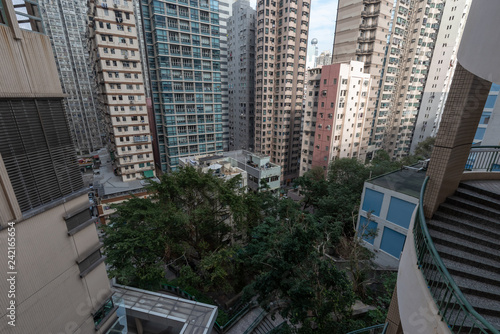 Dense building with tree in between highrise in Sai Ying Pun