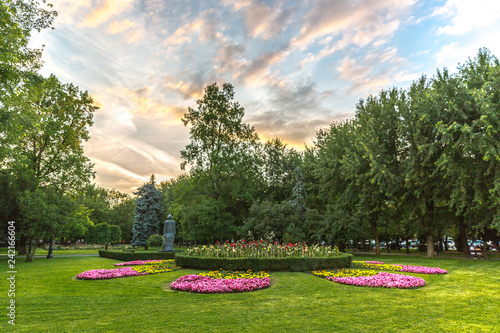 Amazing colorful garden with flowers in a public park in Brazov in Romania photo