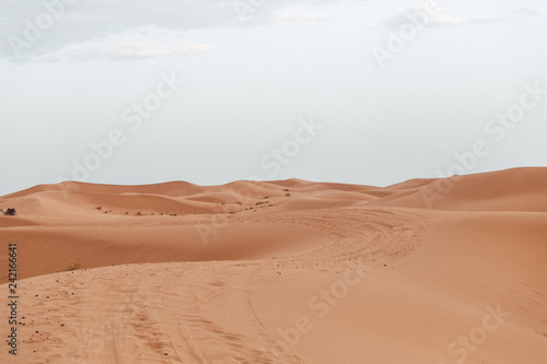 sand dunes in the desert