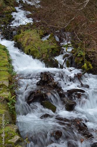 Small stream near Multnomah falls, Oregon