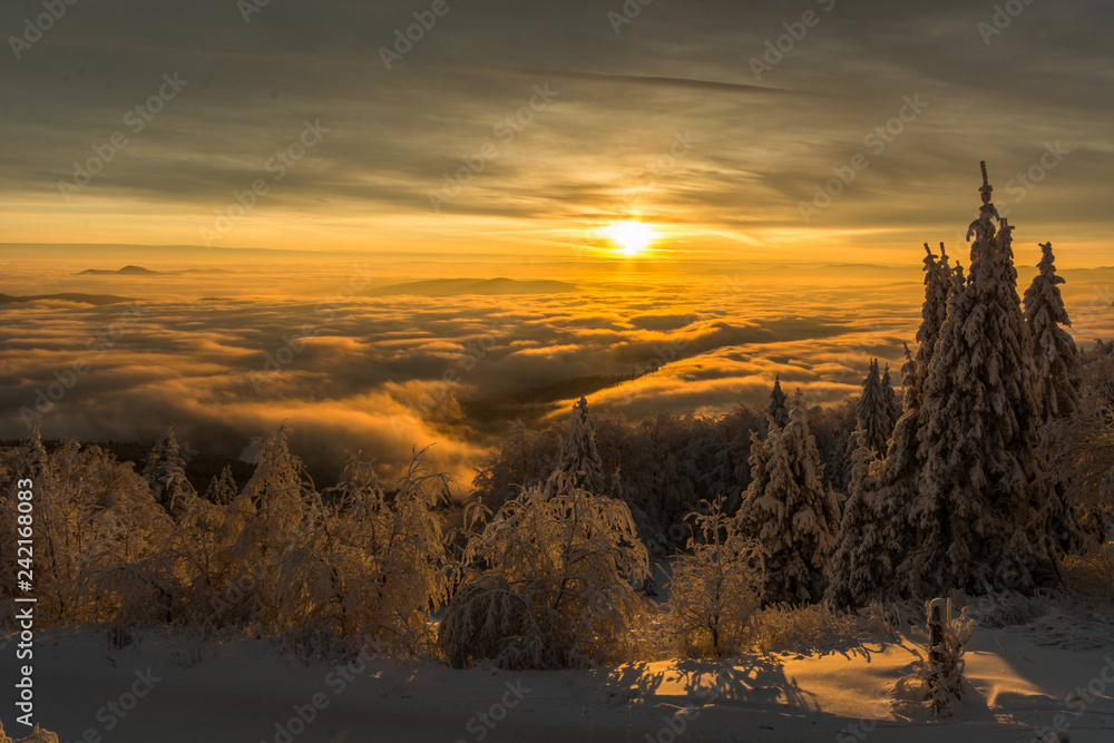 Wschód słońca na Jaworzynie Krynickiej ,Beskid Sądecki , małopolska.