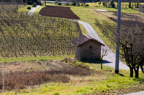 Montevecchia, Lombardia photo