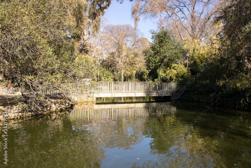 autumn in the park