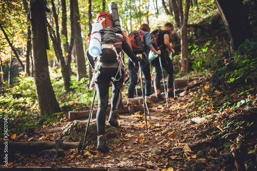 Group of friends with backpacks trekking together and climbing in forest photo