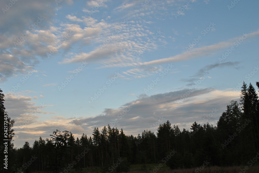 nature finland