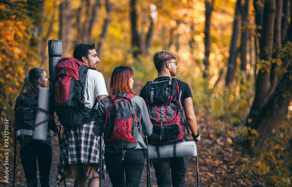 Friends with backpacks trekking in nature, walking through the woods, back view Friends with backpacks trekking in nature, walking through the woods, back view