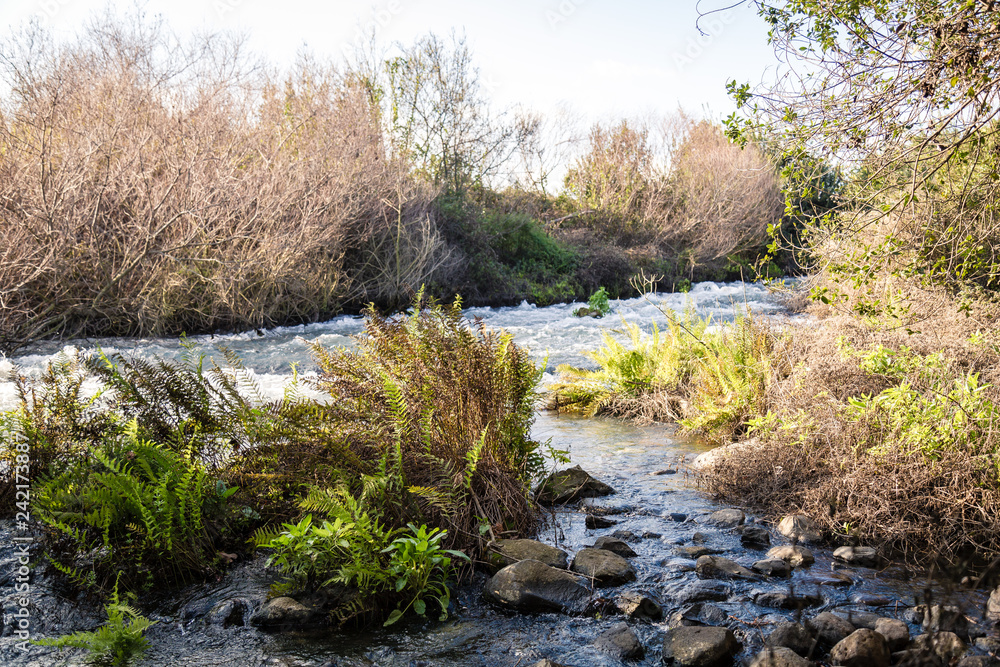 Water flow in Dan Nature Reserve in Israel Water flow in Dan Nature Reserve in Israel