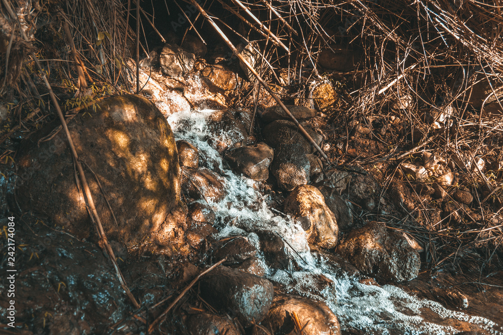 Water flow in Dan Nature Reserve in Israel Water flow in Dan Nature Reserve in Israel