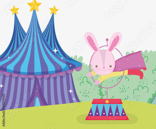 rabbit costume jumping hoop and circus big top
