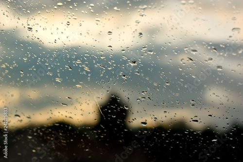 Wallpaper Mural After the rain Torontodigital.ca