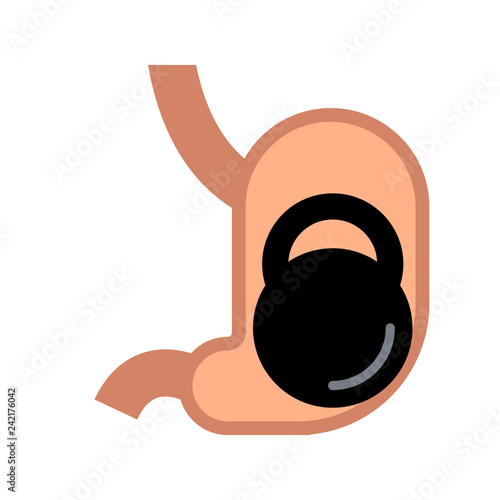 stomach visual aid
