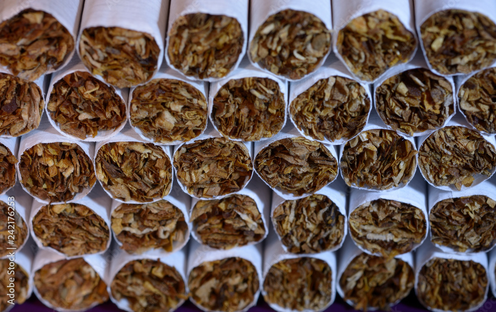 Close-up of a heap of tobacco cigarettes, front view Close-up of a heap of tobacco cigarettes, front view