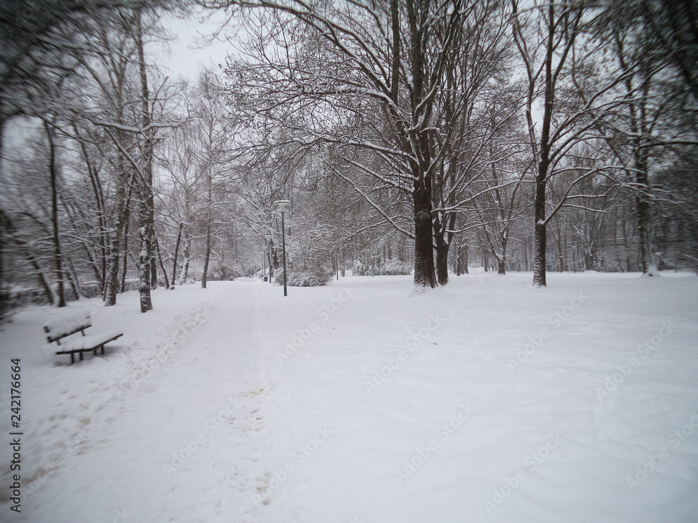 A nice park under the snow, winter idyll, background, texture A nice park under the snow, winter idyll, background, texture