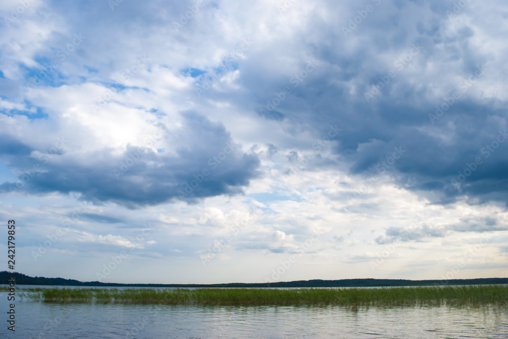 lake landscape with reeds at sunset and cloud reflections