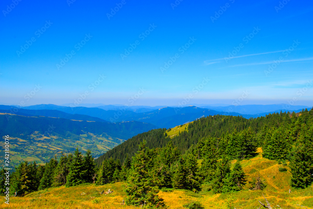 Nature in the mountains, beautiful scenery, beautiful mountain scenery, the Carpathian Mountains.