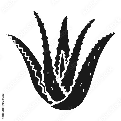 Aloe vera icon. Simple illustration of aloe vera vector icon for web design isolated on white background