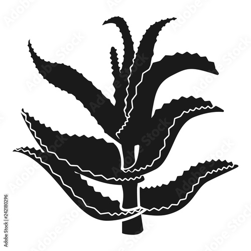 Aloe stem icon. Simple illustration of aloe stem vector icon for web design isolated on white background