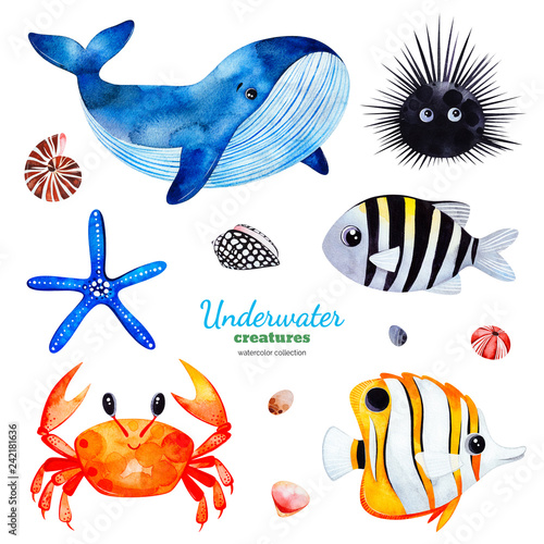 Underwater creatures.Watercolor collection with multicolored coral fishes.shells,crab,whale,starfish,urchin etc!Perfect for invitations,party decorations,printable,craft project,greeting cards,sticker