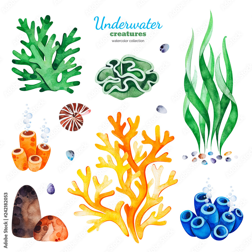 Underwater creatures. Watercolor collection with multicolored coral ...