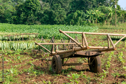 Photography Vinales, Cuba