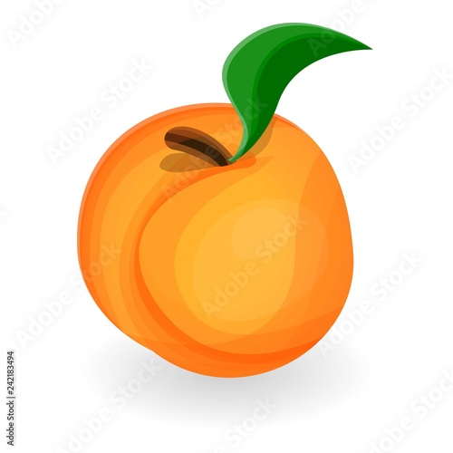 Natural peach icon. Cartoon of natural peach vector icon for web design isolated on white background