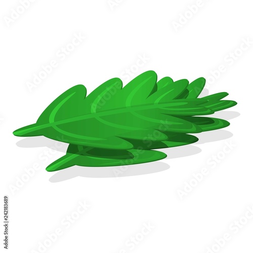 Rucola leaf icon. Cartoon of rucola leaf vector icon for web design isolated on white background