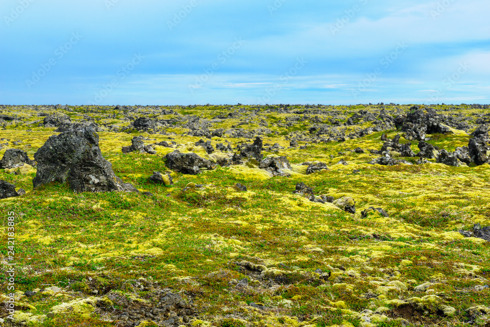 Volcanic landscape in the Snaefellsnes peninsula