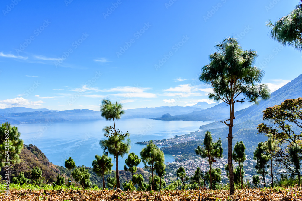 Lake Atitlan & 5 volcanoes looking from hilltop maize field, Guatemala Lake Atitlan & 5 volcanoes looking from hilltop maize field, Guatemala