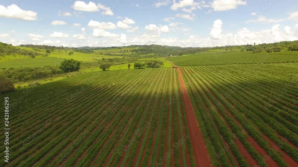 Aerial view of a large brazilian farm with coffee plantation. Aerial view of a large brazilian farm with coffee plantation.