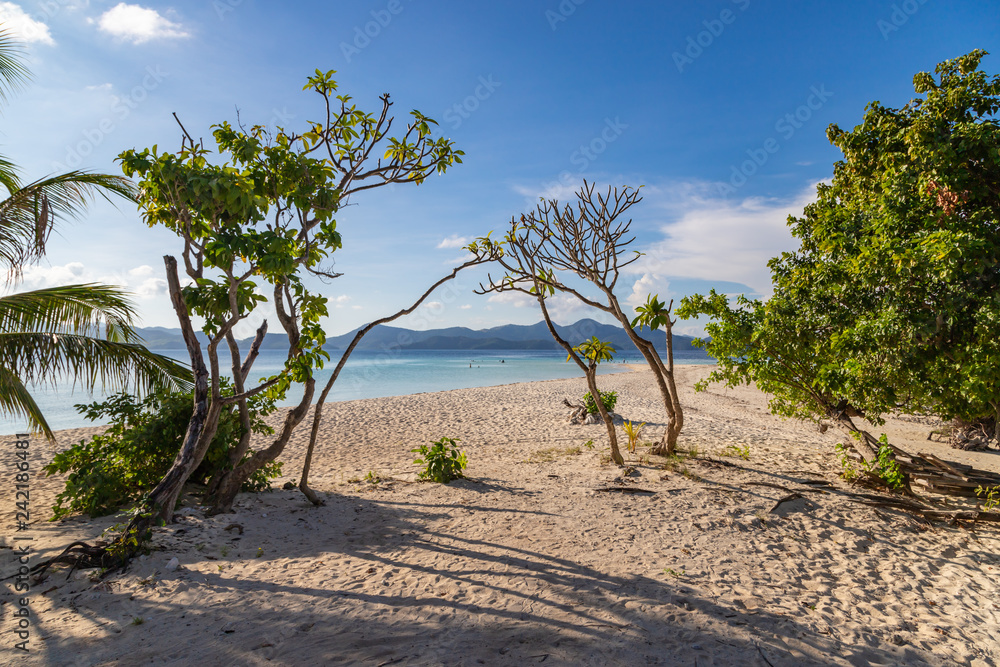 View of tropical beach on the Ditaytayan island, Busuanga, Palawan, Philippines. Beautiful tropical island with sand beach, palm trees. Travel concept. View of tropical beach on the Ditaytayan island, Busuanga, Palawan, Philippines. Beautiful tropical island with sand beach, palm trees. Travel concept.
