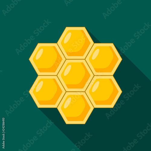 Honey comb icon. Flat illustration of honey comb vector icon for web design