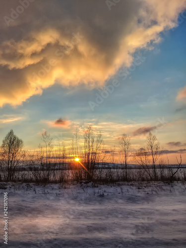 Winter landscape with field and trees during the sunset